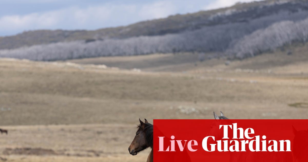 Australia news live: brumby law change ‘puts science above politics’; Dreyfus given human rights role seven months after ejection from cabinet | Australia news
