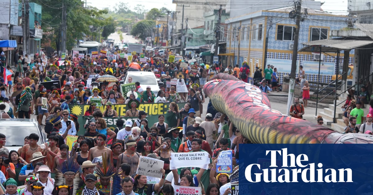 Beyond the negative headlines, some truly good things came out of Cop30 | Environment