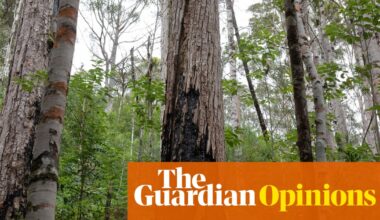 Australia finally acknowledges environment underpins all else. That’s no small thing | Ken Henry