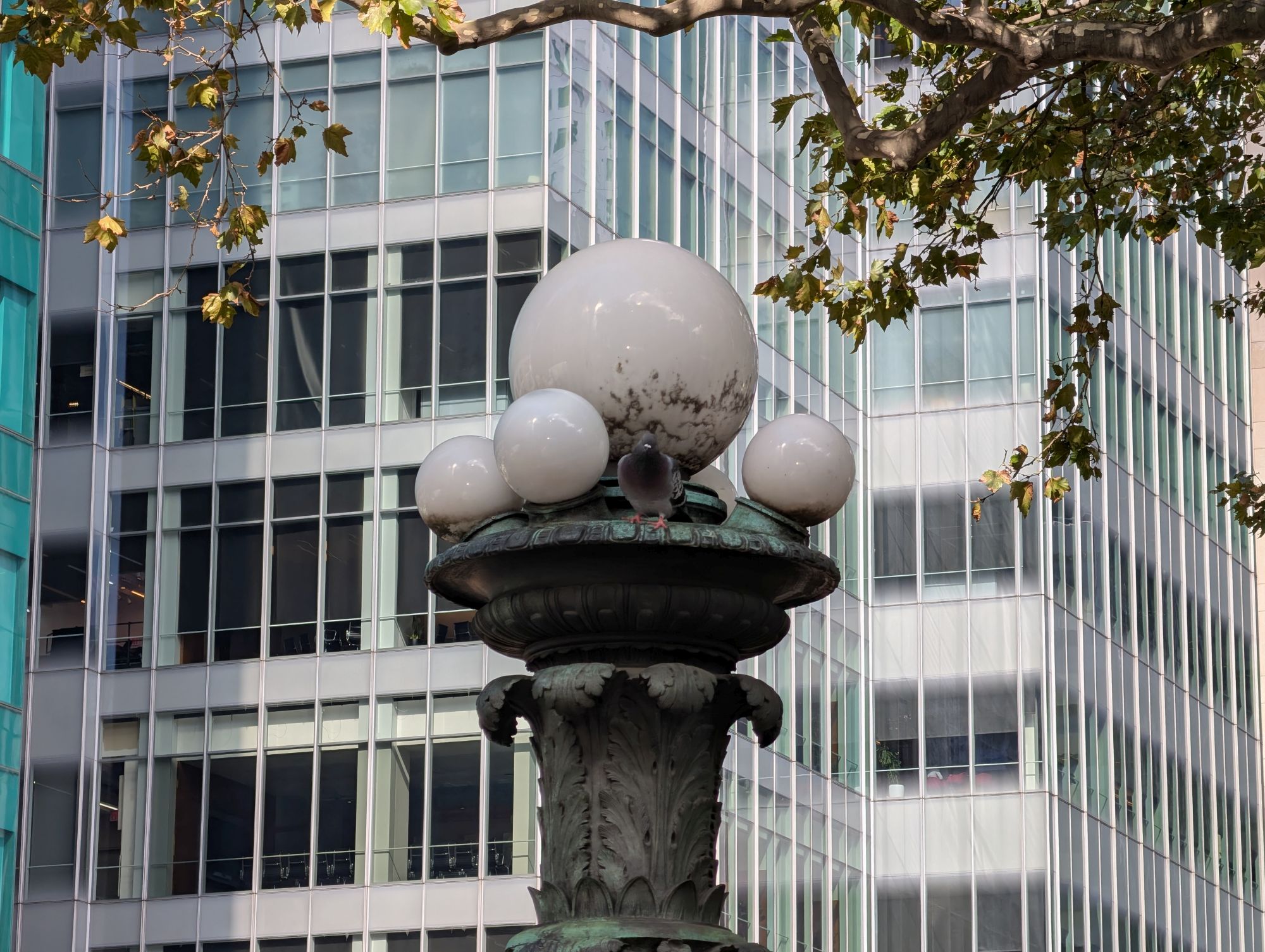 Google Pixel 10 Pro XL zoom sample.