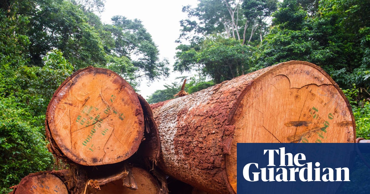 Africa’s forests transformed from carbon sink to carbon source, study finds | Climate crisis