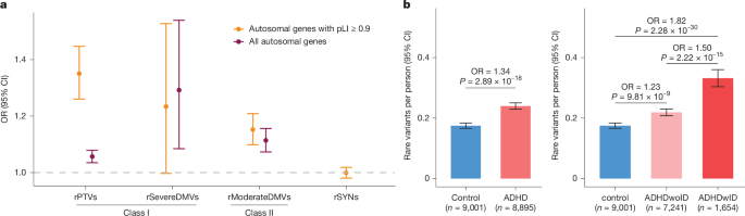 Rare genetic variants confer a high risk of ADHD and implicate neuronal biology