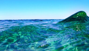 The surface of the sea