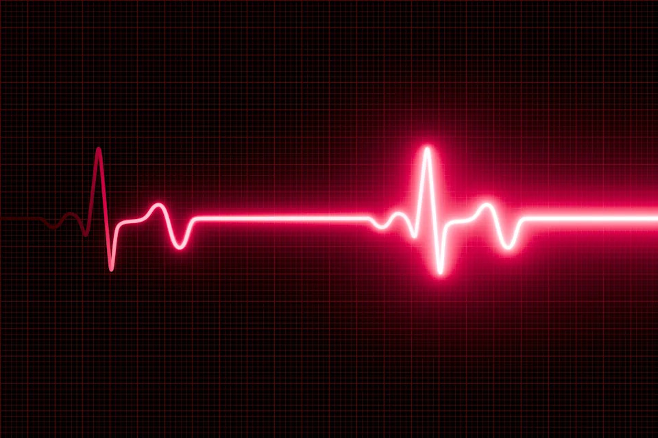 Heartbeat waveform on a graph, symbolizing life or vitality. The bright line represents a rhythmic heart pulse