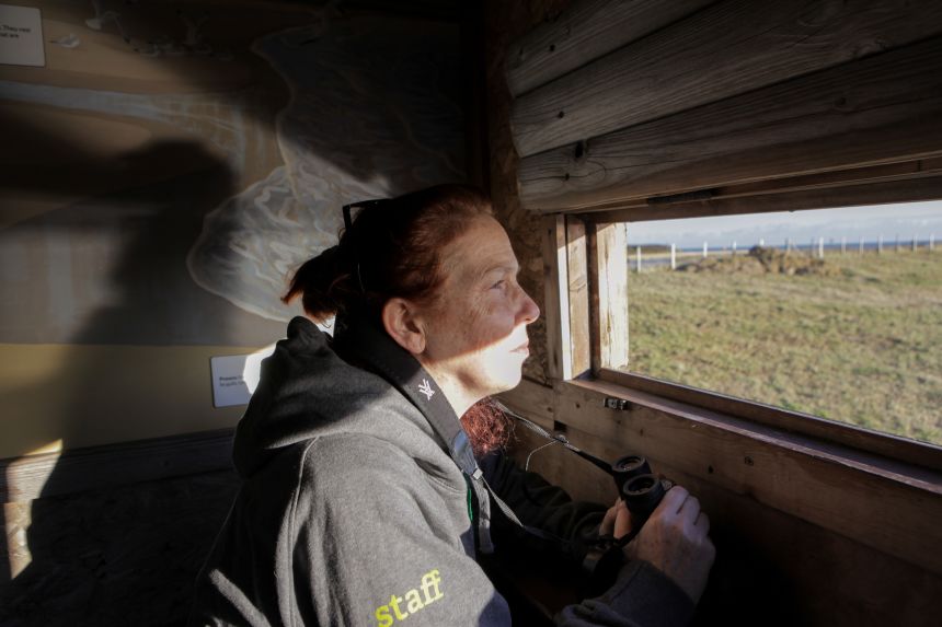 Henri Brocklebank, director of conservation at the Sussex Wildlife Trust looks out from one of the birdwatch hides at the Rye Harbour Nature Reserve.
