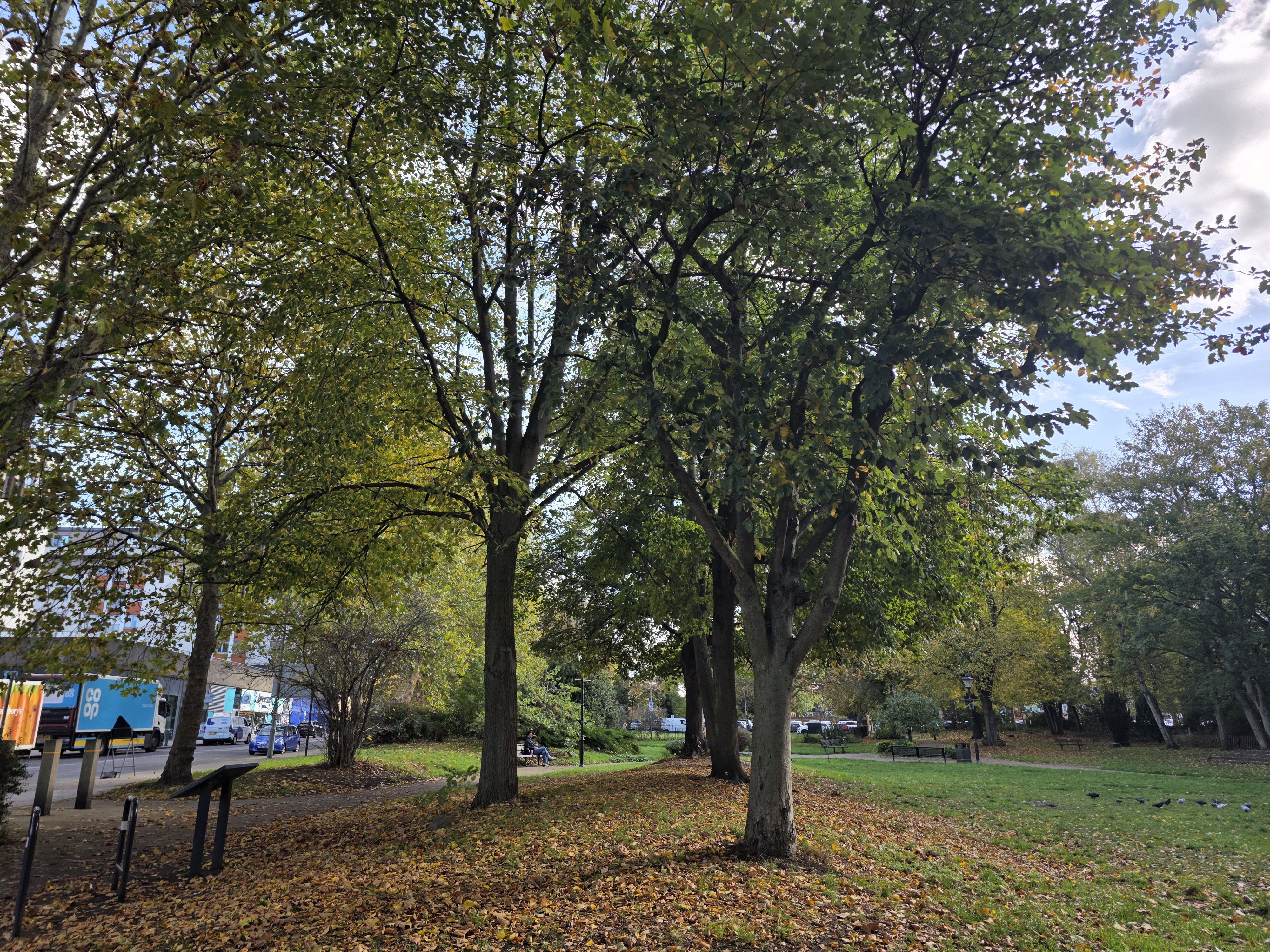 Samsung Galaxy S25 Ultra main camera image