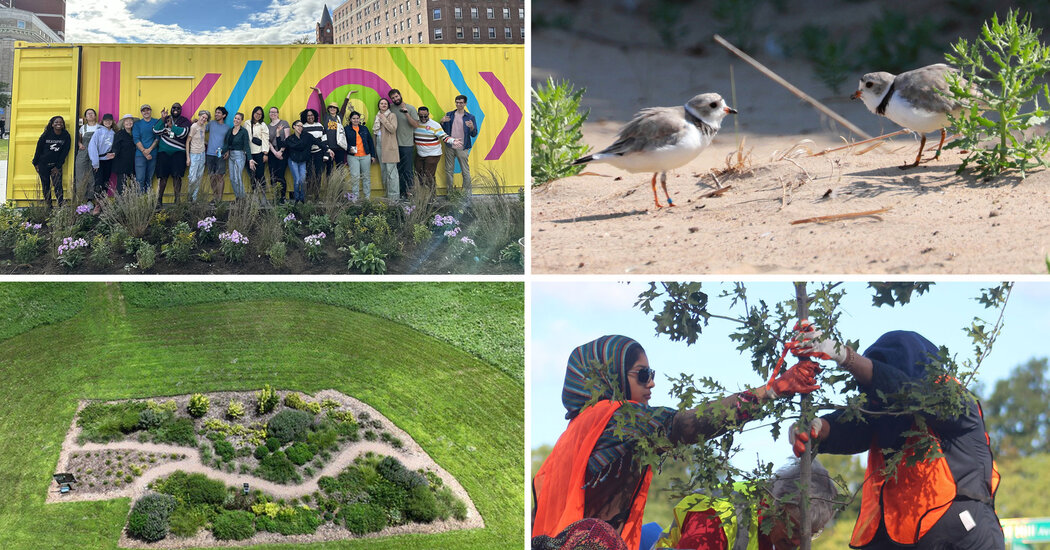 Readers Share Eco-Friendly Projects Happening In Their Communities