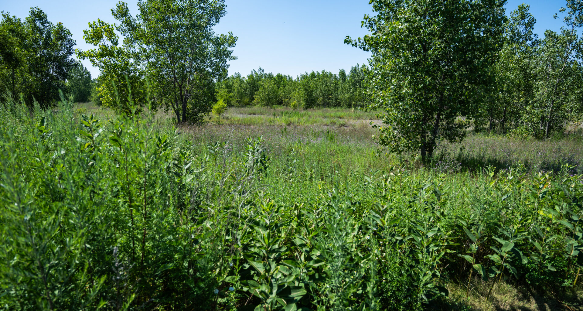 Quantum Developers' Environmental Cleanup Plans For Old South Works Steel Site Approved By State