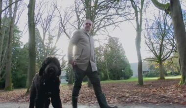 Man saves dogs from coyote in Seattle park