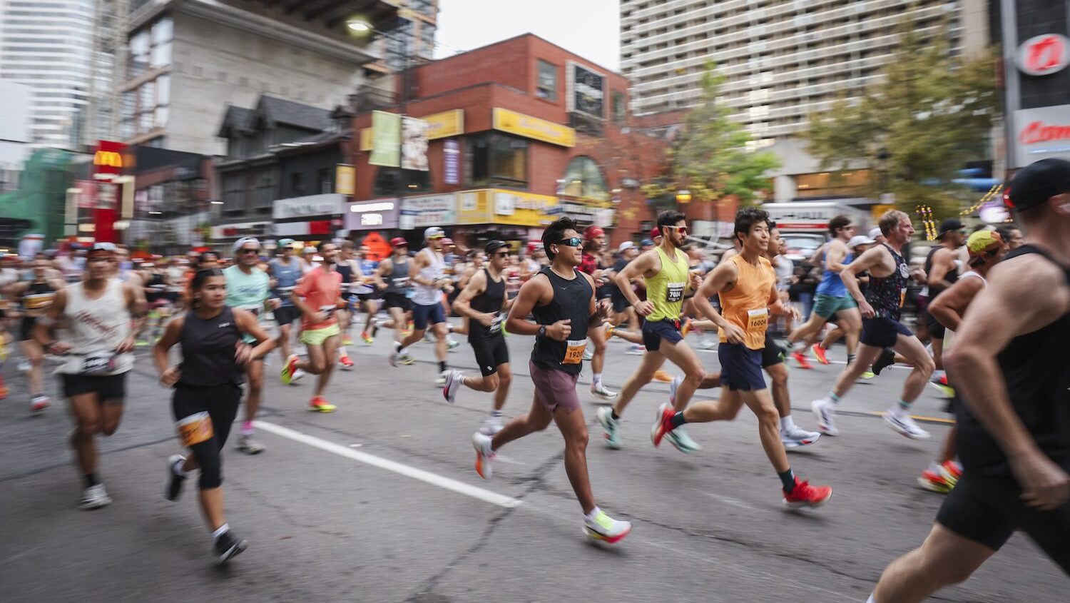 toronto waterfront marathon