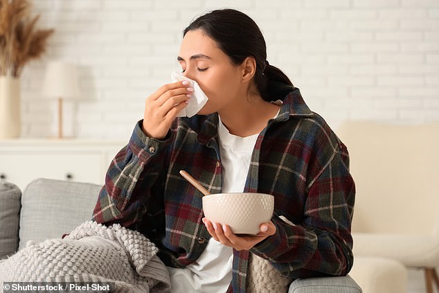 Flu hospitalizations have been climbing since October and spiked in mid-November. So far this season, the CDC estimates at least 4.6 million illnesses, 49,000 hospitalizations and 1,900 deaths (stock)