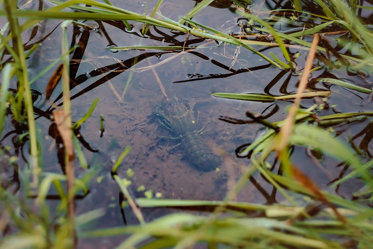 Yahoo lifestyle home