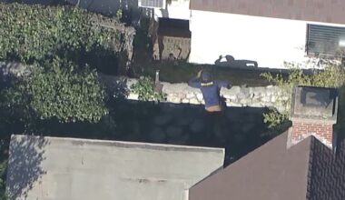 California Department of Fish and Wildlife seen at Altadena home searching for bear living underneath man's home