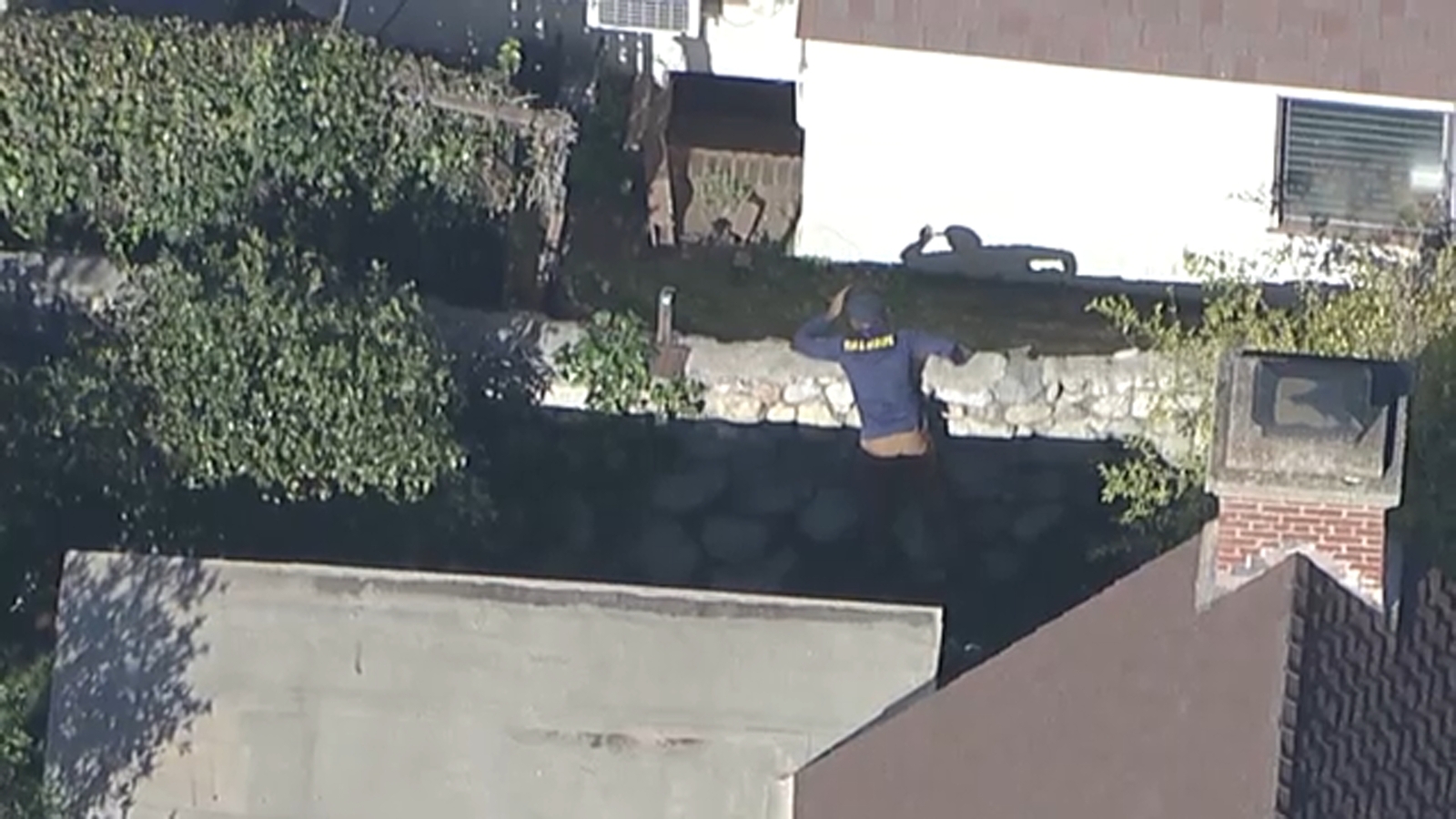 California Department of Fish and Wildlife seen at Altadena home searching for bear living underneath man's home