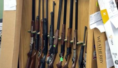 Florida’s black bear hunt to kick off Saturday despite numerous efforts to stop it