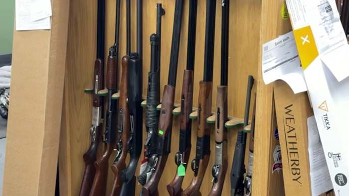 Florida’s black bear hunt to kick off Saturday despite numerous efforts to stop it