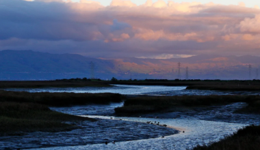 Guest Opinion: Are we being fooled by light pollution fears?