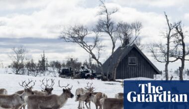 Where the real Rudolph lives: reindeer herding with the Sami people in Sweden’s wild west | Wildlife holidays