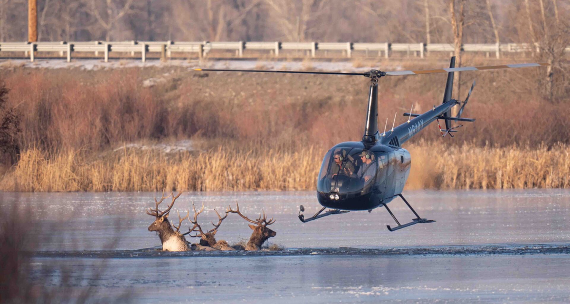 Cowboy State Daily logo