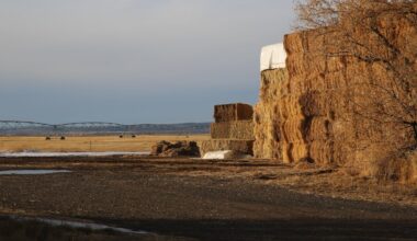 Oregon’s Harney Basin is now a critical groundwater area. Here’s what that means