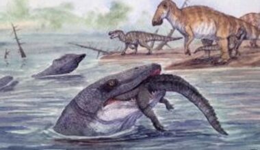 Prehistoric sea monster bigger than a killer whale may have terrorised rivers too