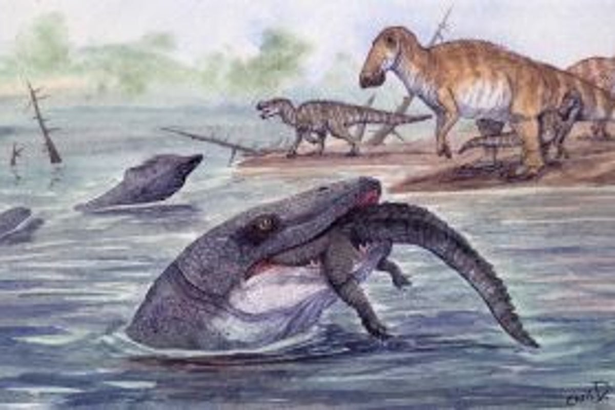 Prehistoric sea monster bigger than a killer whale may have terrorised rivers too
