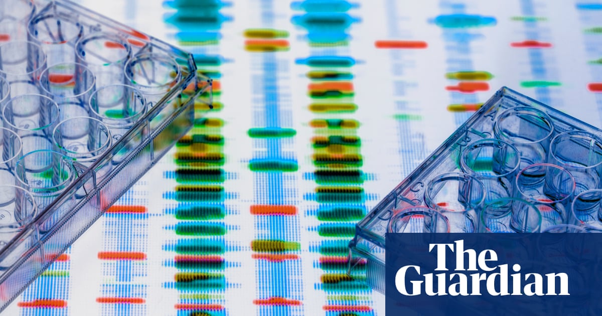 The Divided Mind by Edward Bullmore review – do we now know what causes schizophrenia? | Science and nature books