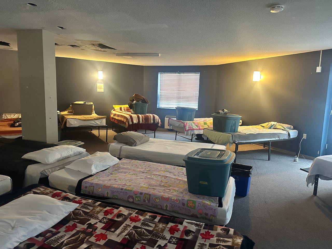 a bunch of cots in a homeless shelter, each nicely made and some with totes on top of them. 