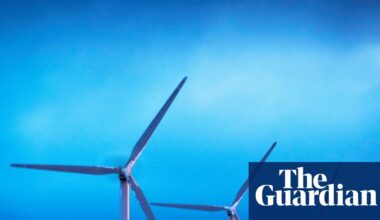 This year’s Christmas could be Britain’s greenest yet, energy operator says | Energy