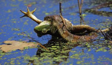 6 Snake-Filled Waters In New Hampshire
