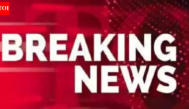 Breaking news live updates, December 24: Australian state lawmakers approve sweeping gun bill; Libya's military chief, 4 others killed in plane crash