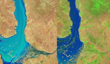 Heavy Rain In Queensland Sent Floodwaters Coursing Through The Australian Outback. Carpets Of Green Emerged In Their Wake