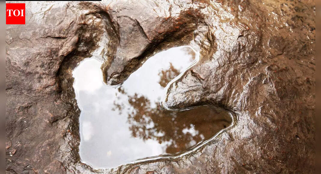 Scientists found more than 16,000 dinosaur footprints underwater in Bolivia |