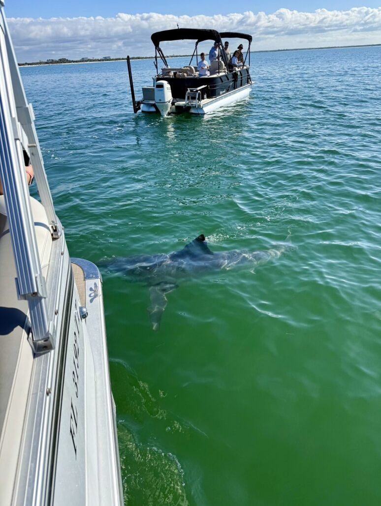 Screenshot 2025-12-29 214659.png