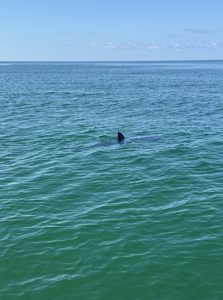 COURTESY JORDAN SANDLIN 6.HEIC