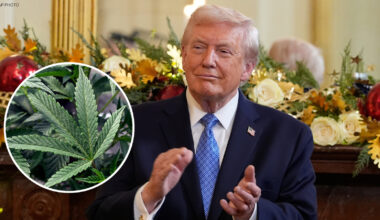 Reclassification of weed: President Donald Trump signs executive order today that would reclassify marijuana as less dangerous