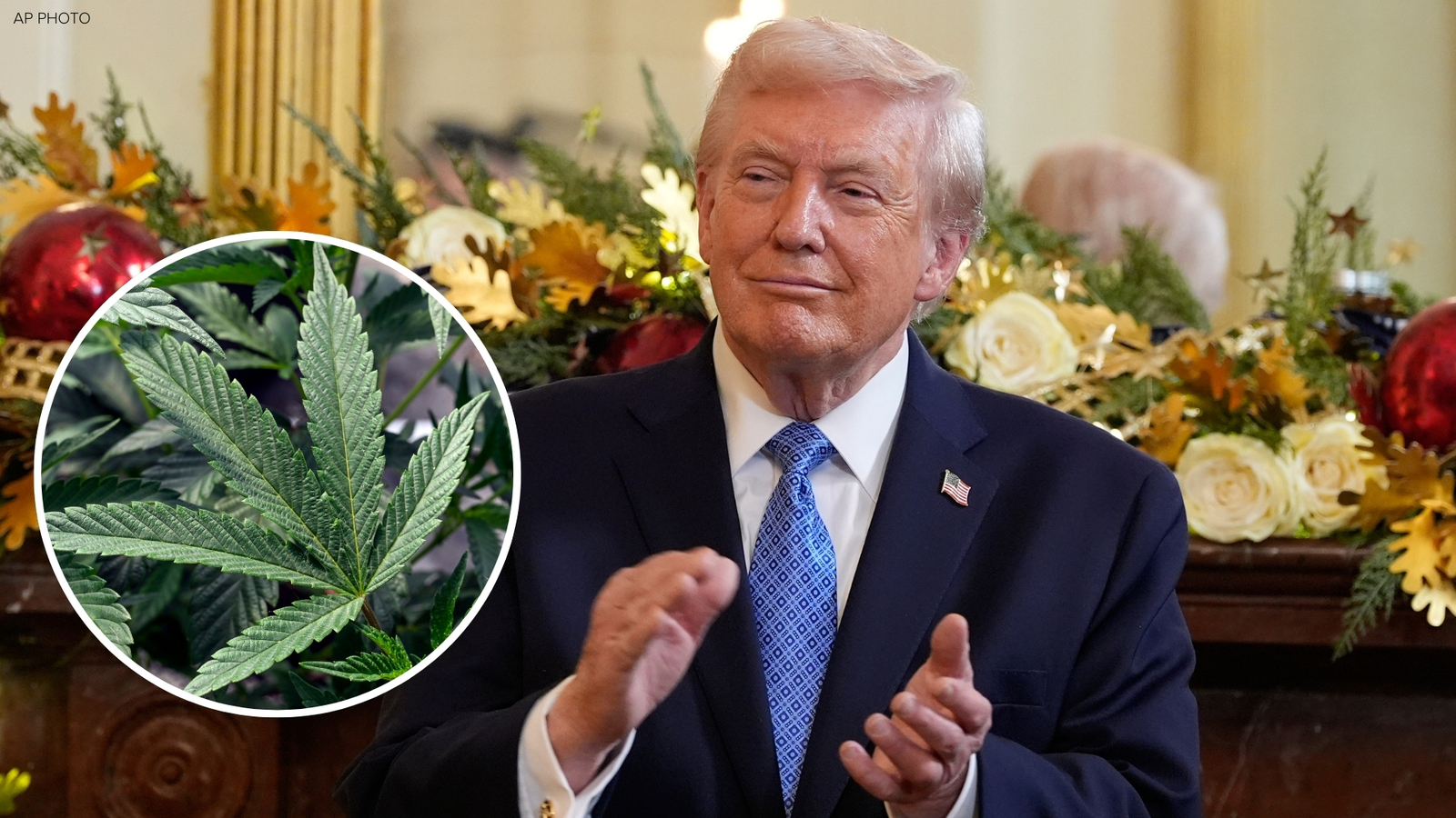 Reclassification of weed: President Donald Trump signs executive order today that would reclassify marijuana as less dangerous