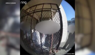 Caught on Video: San Francisco apartment management staff accused of breaking in, stealing Christmas gifts from tenants