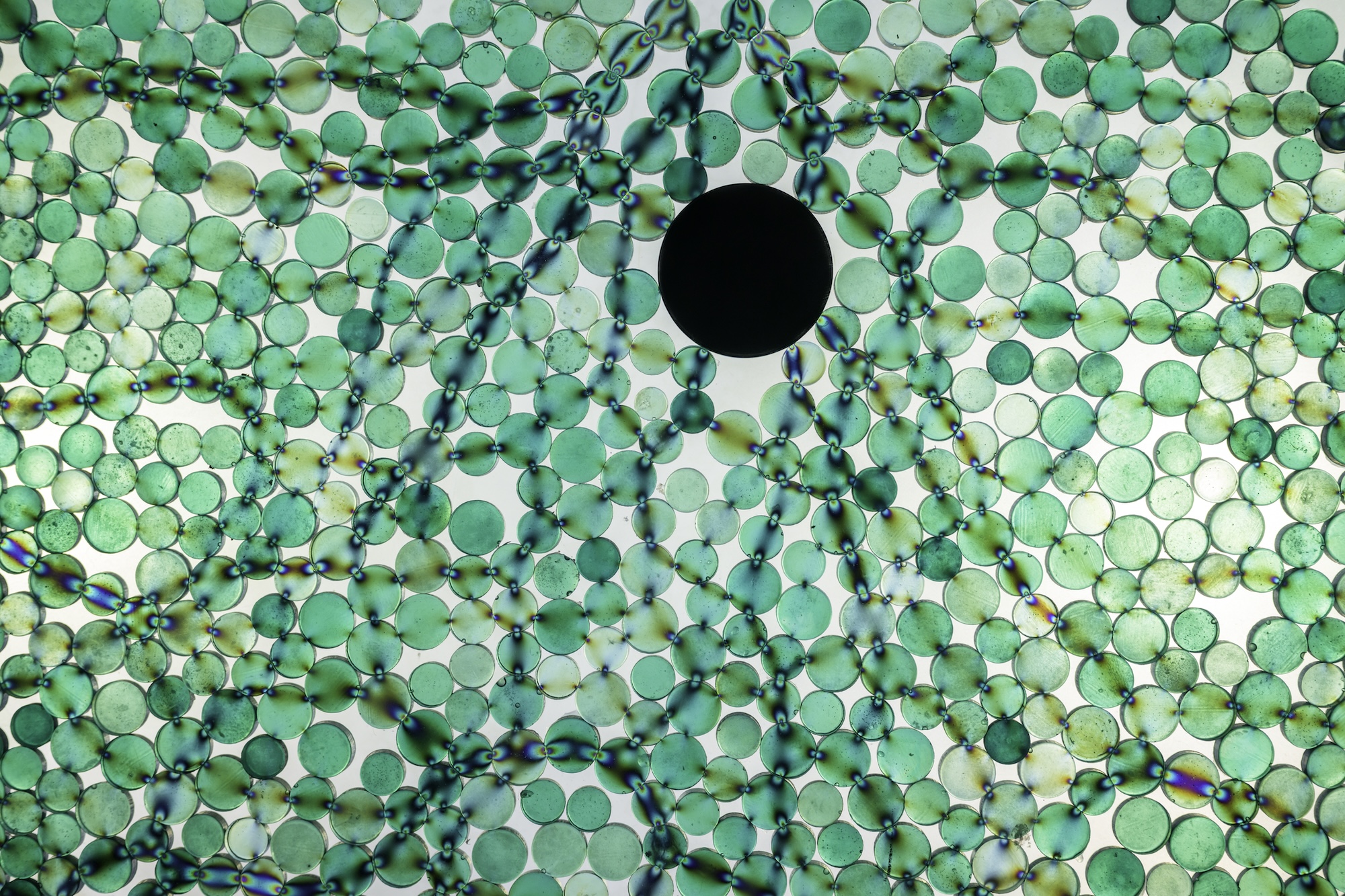 Photoelastic materials viewed with polarized light.