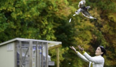 2025: The year in photos