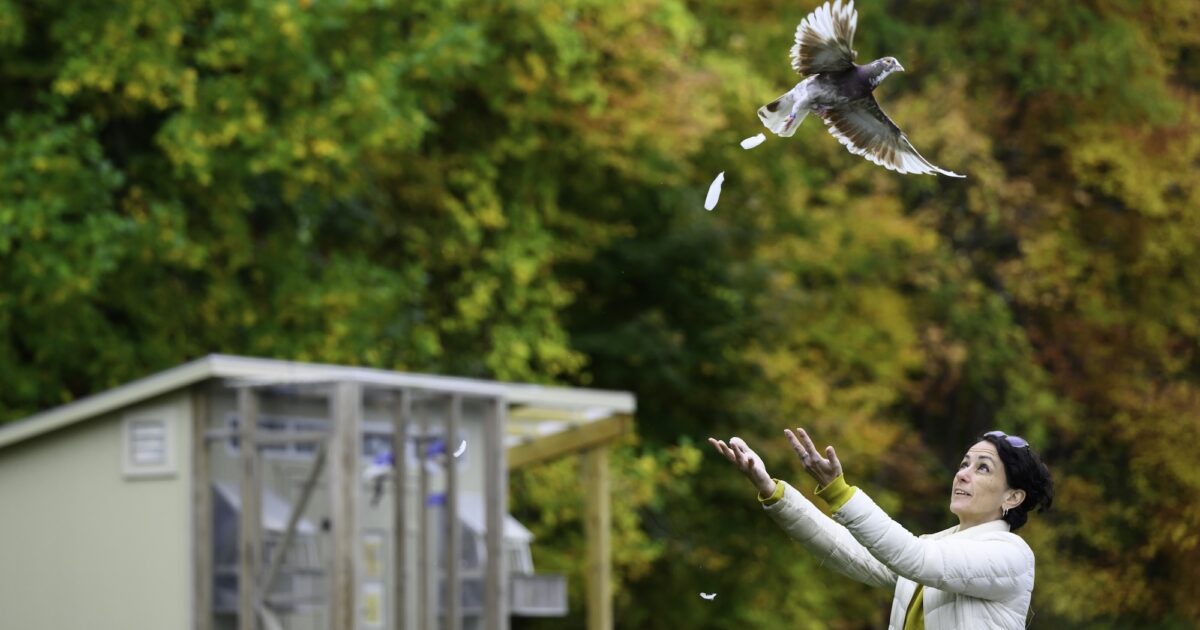 2025: The year in photos