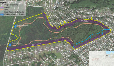 Wilderness State Park Proposed In Hilo