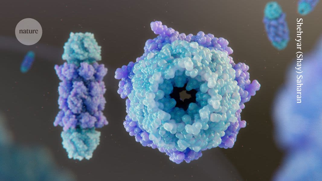 Ten people who shaped science in 2025