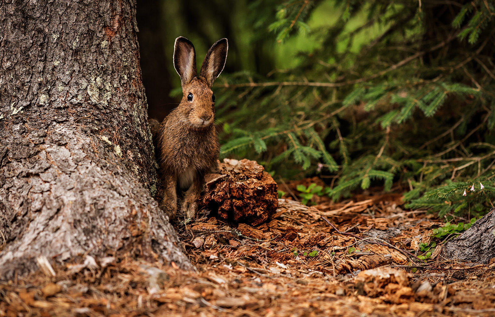 Our Favorite Photography of 2025