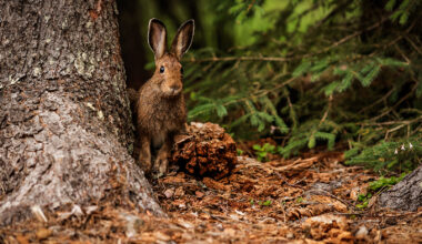 Our Favorite Photography of 2025