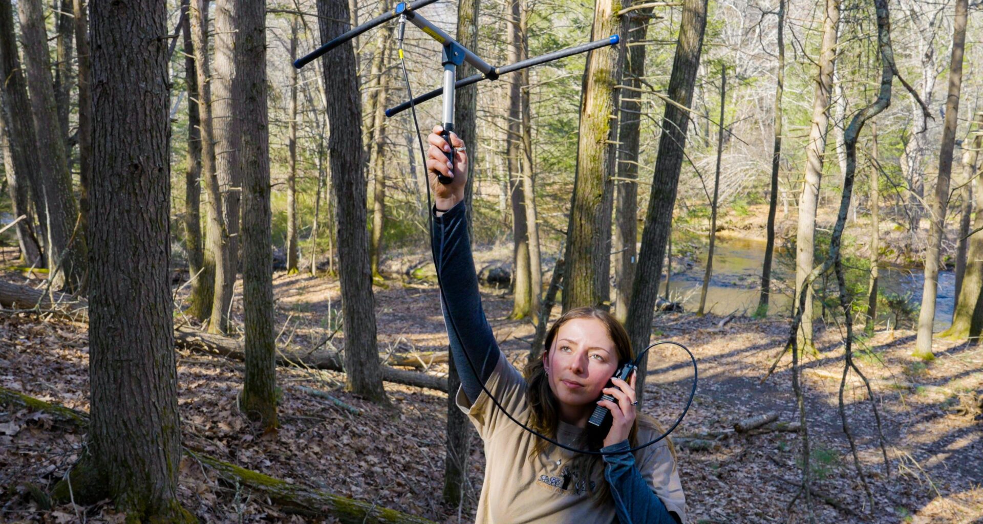 Following the Fisher: Tracking a Solitary Forest Inhabitant