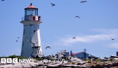 Canadian senator presses Ottawa on only land disputed between the US and Canada