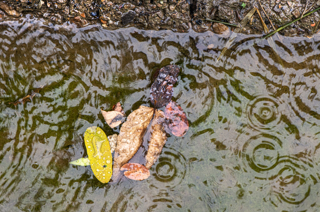 Increased rainfall in Pennsylvania due to climate change means landfills will create more leachate, the name of the liquid created when rainwater runs through a landfill, picking up contaminants along the way.
