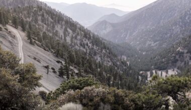 Three hikers found dead near popular Southern California trail