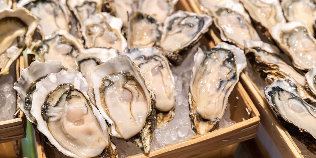 Salmonella outbreak linked to raw oysters hits 22 states including S.C.